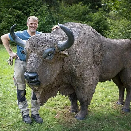 アパート Tuffsteinquartier Am Brueckenbach