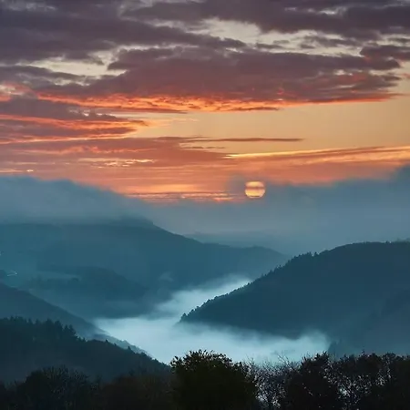Tuffsteinquartier Am Brueckenbach アパート Weibern