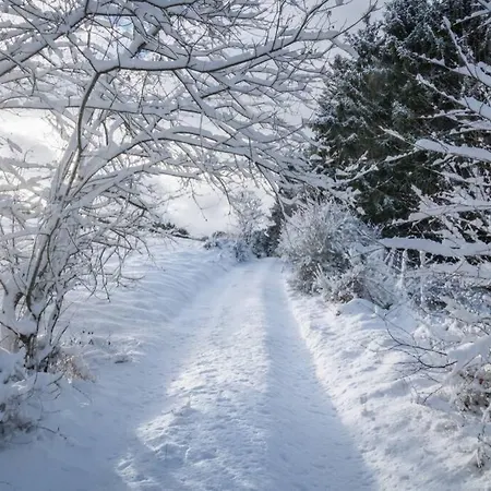 Tuffsteinquartier Am Brückenbach * Weibern
