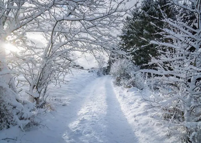 Tuffsteinquartier Am Brueckenbach * Weibern